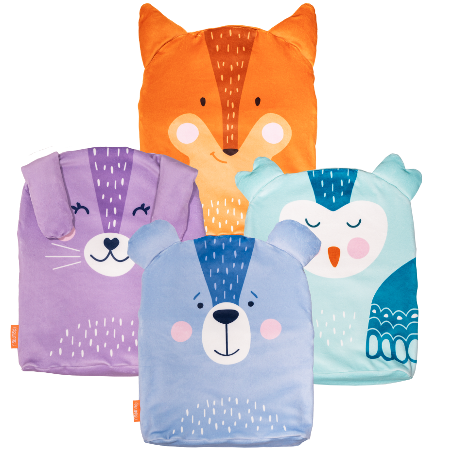 Housses de remplacement